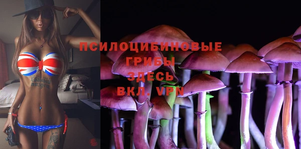 амф Балахна