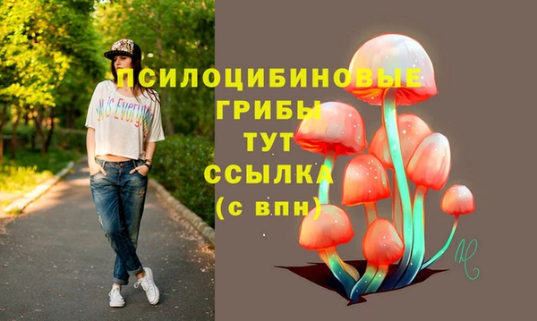 ПСИЛОЦИБИНОВЫЕ ГРИБЫ Балабаново