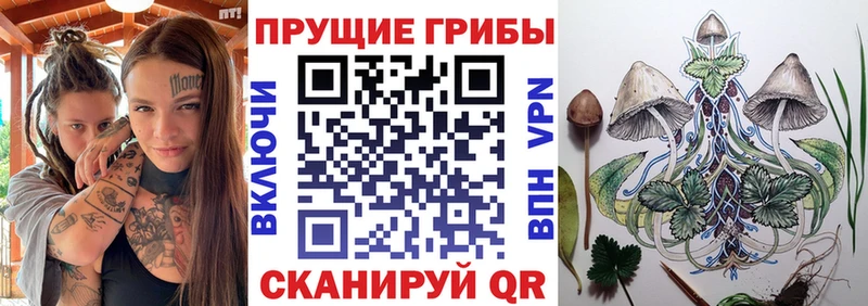Псилоцибиновые грибы GOLDEN TEACHER  ссылка на мегу ссылка  Гремячинск 