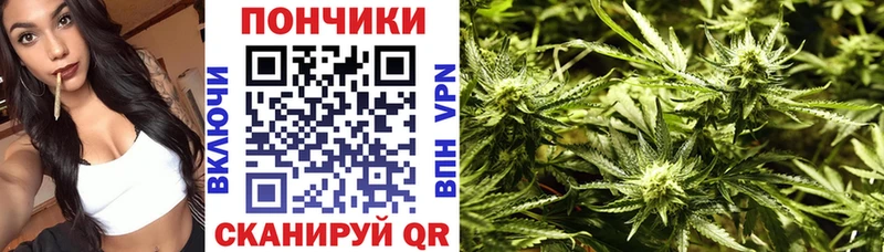 Бошки Шишки план  Гремячинск 